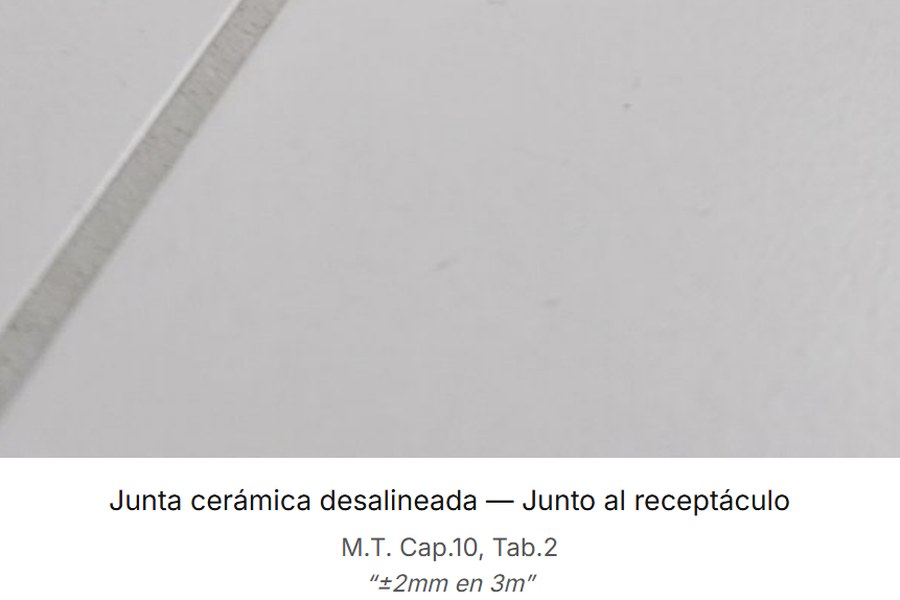 Hoja del informe: la foto del hallazgo y debajo su descripción con la norma del Manual de Tolerancias